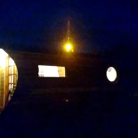 La Salicorne Insolite *