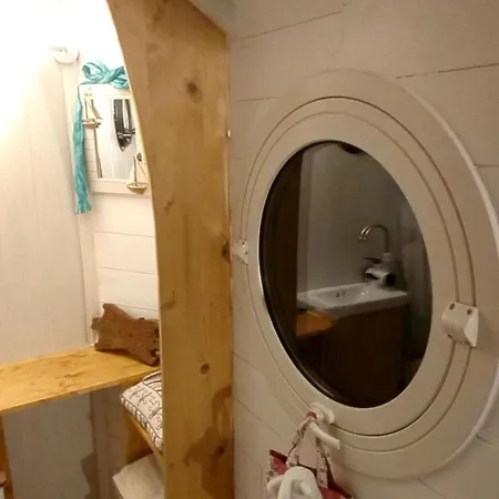 La Salicorne Insolite