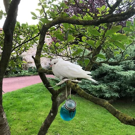 Apartmán La Salicorne Insolite