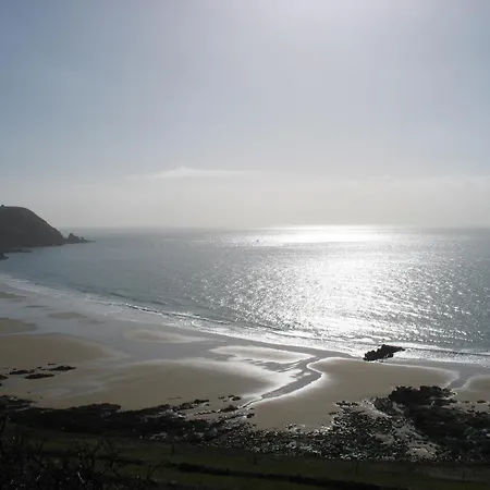 La Salicorne Insolite *