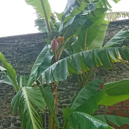 La Salicorne Insolite Apartmán *