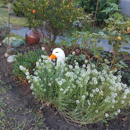 Apartmán La Salicorne Insolite Saint-Germain-sur-Ay